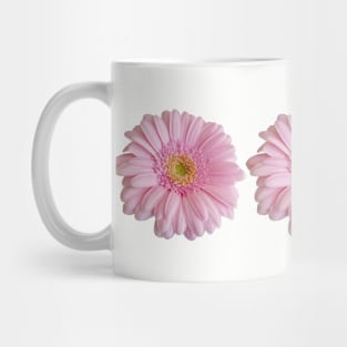 Three Pink Gerberas Floral Photo Mug